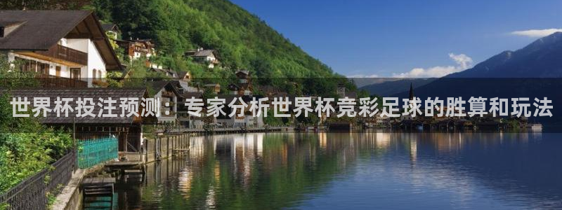 世界杯在线直播入口:世界杯投注预测:专家分析世界杯竞彩足球的胜算和玩法