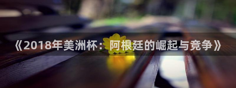 2026世界杯买球:《2018年美洲杯:阿根廷的崛起与竞争》